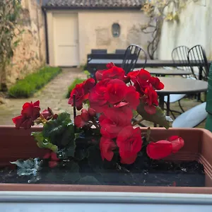 19 Borgo Cavour Couette-café